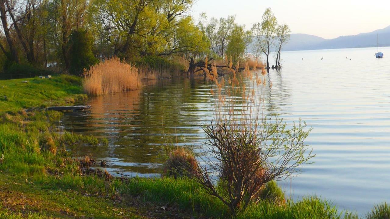 The Gulf Villa - Lago Maggiore Monvalle Buitenkant foto