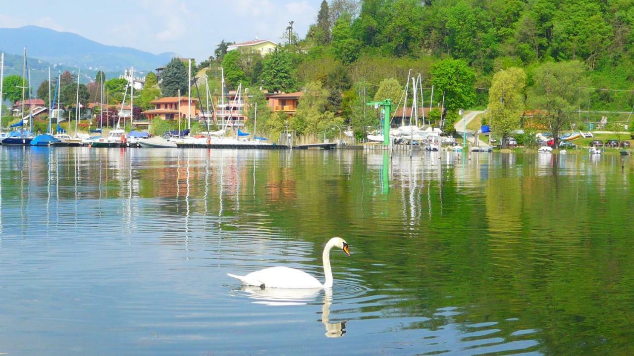 The Gulf Villa - Lago Maggiore Monvalle Buitenkant foto