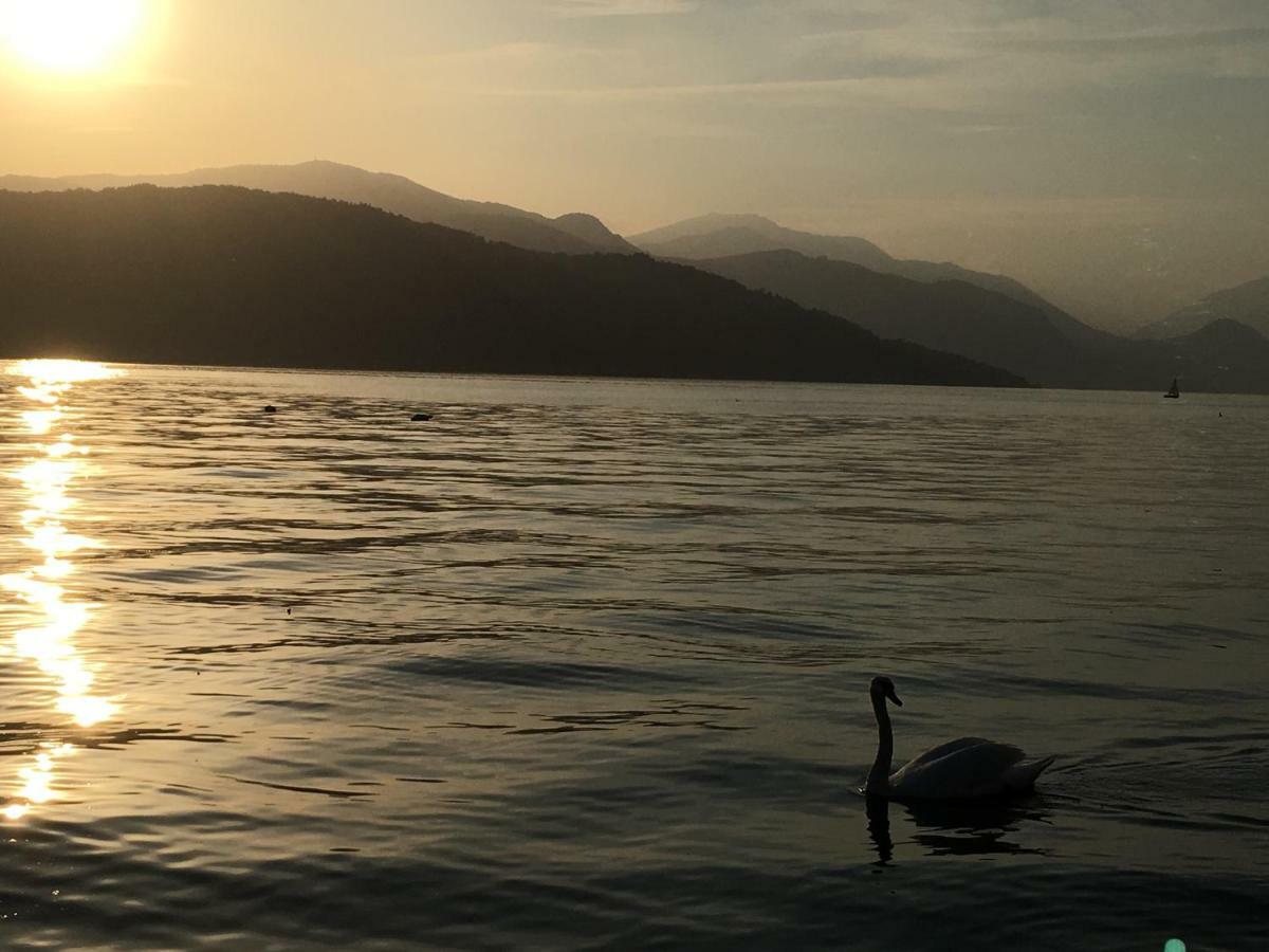 The Gulf Villa - Lago Maggiore Monvalle Buitenkant foto