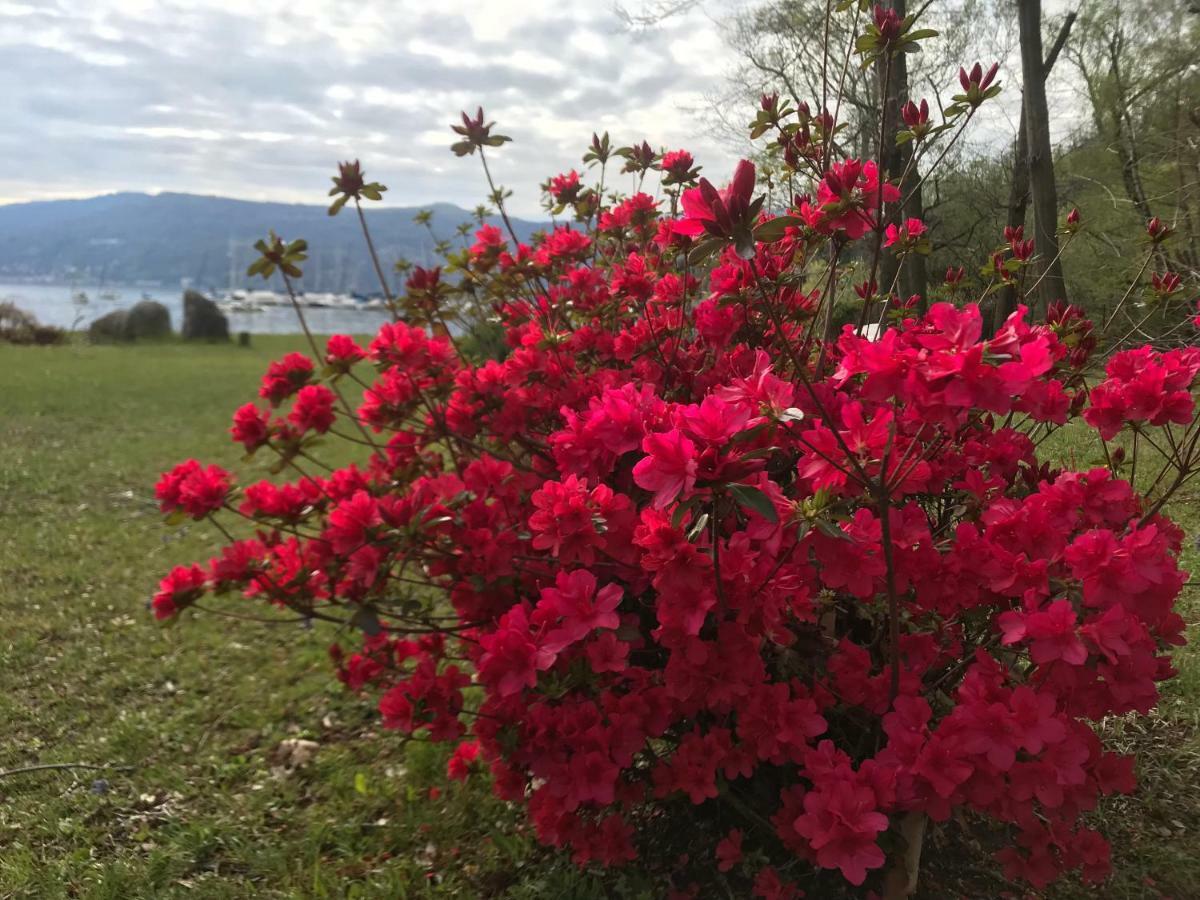 The Gulf Villa - Lago Maggiore Monvalle Buitenkant foto